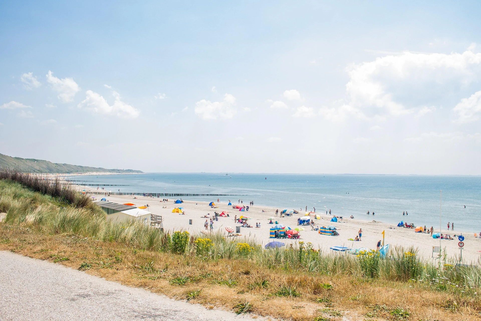 Sunny Dutch North Sea beach with sand dunes and beachgoers near Keukenhof