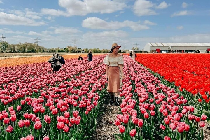 Visitors among tulips at De Tulperij in Voorhout