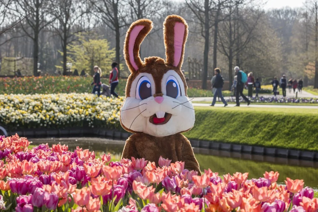 Easter bunny among the tulips at Keukenhof