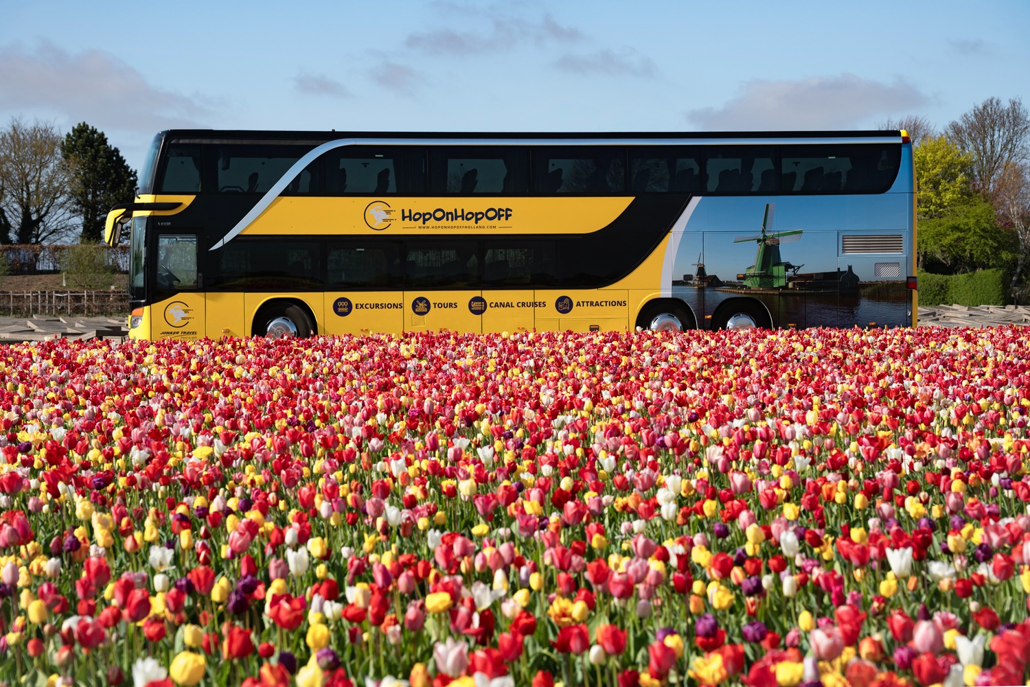 HopOnHopOff Holland coach surrounded by tulips at Keukenhof