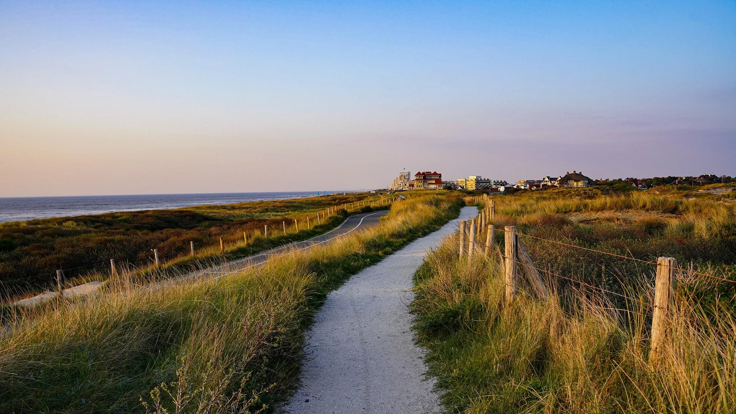 Walking and cycling paths through the dunes near Zandvoort Beach